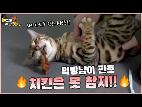 아이콘