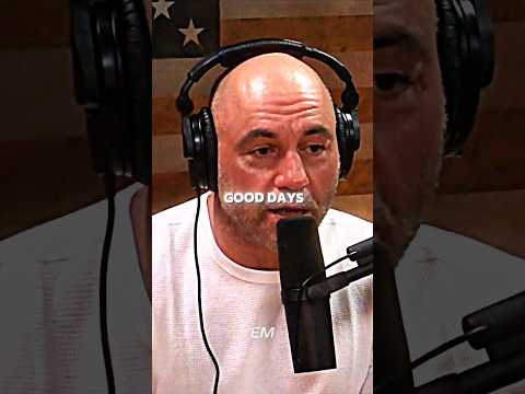 One Good Day - Joe Rogan