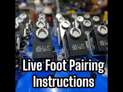 DD26 Fishing Blitz Lures Live Foot Pairing Video