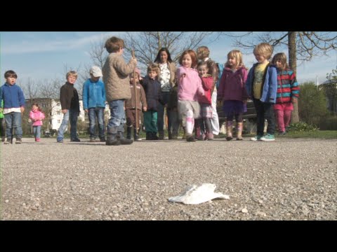 Fünf Begleitfilme zu den BayBL - Film 4: Kooperation und Vernetzung der Bildungsorte