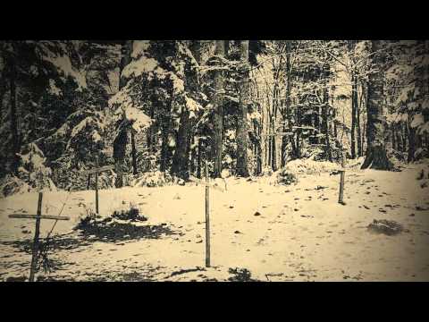 La Grande Guerre dans les Vosges