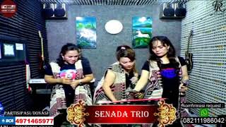 Download lagu Poda Nauli by SENADA TRIO mp3