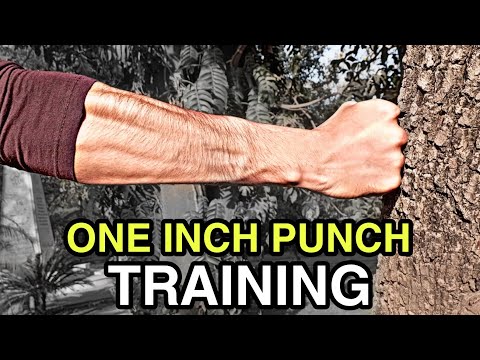 One Inch PUNCH Training!