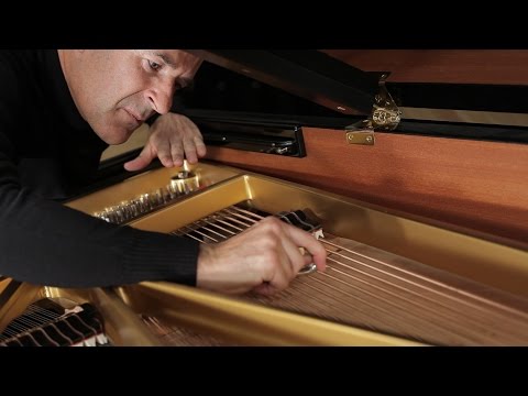 Annea Lockwood - RCSC