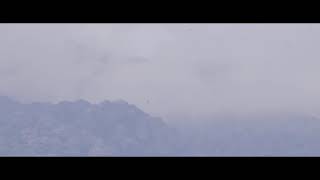 Asio - Ben Cristovao