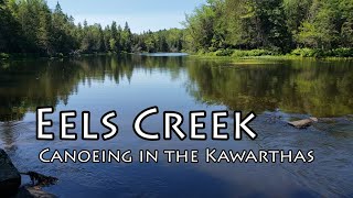preview picture of video 'Eels Creek - Canoe Day Trip in the Kawarthas'