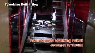 Fukushima Daiichi Now Vol.2