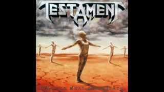 Sins Of Omission - Testament (lyrics video)