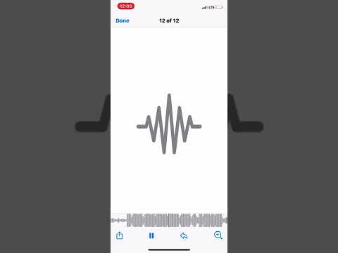 Chief Commando500-the Oath