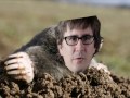 i am a mole