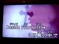 EVER/DIAURA (下手ですが歌ってみました！) 