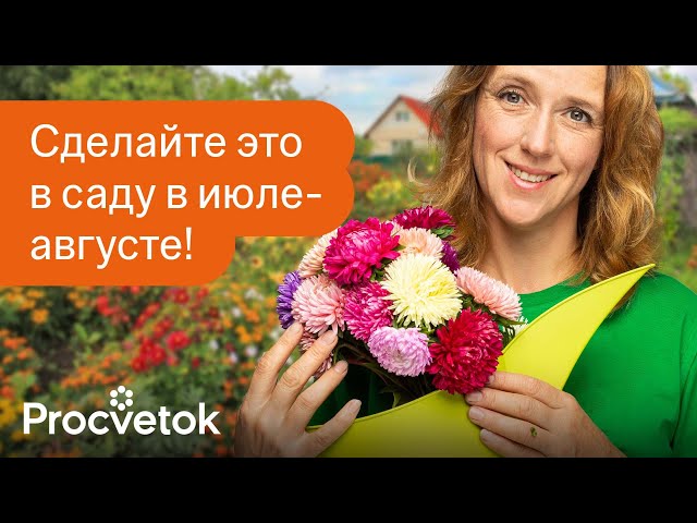 САД В ИЮЛЕ И АВГУСТЕ: ЧЕМ ПОДКОРМИТЬ И ОБРАБОТАТЬ РАСТЕНИЯ. Прямой эфир с биологом Юлией Кондратенок