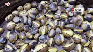Düzce'nin Coğrafi İşaretli Kuzu Kestanesi Tezgahları Süsledi