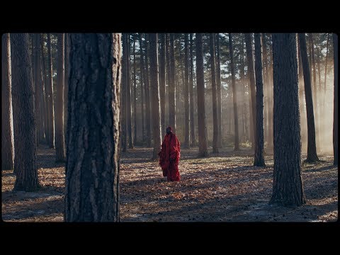 YouTube Preview Image
