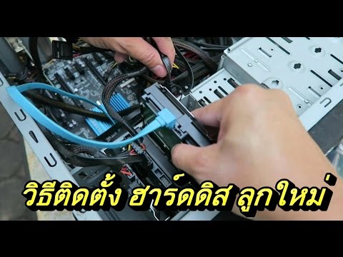 ขิงแรงน้ำผึ้งมะนาว ที่รักสมาชิกเล็ก ๆ น้อย ๆ