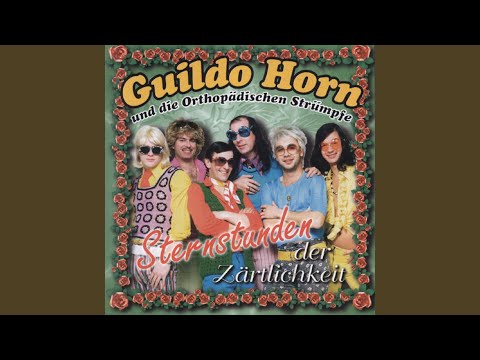 Ich find' Schlager toll (I Love Rock'N'Roll)