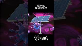 태양광 패널은 발암물질 덩어리다?