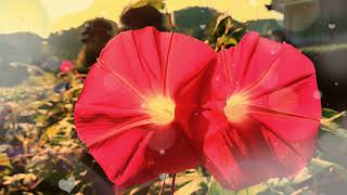 Download lagu SEPTEMBER CERIA - VINA PANDUWINATA LIRIK mp3 Download lagu SEPTEMBER CERIA - VINA PANDUWINATA LIRIK mp3