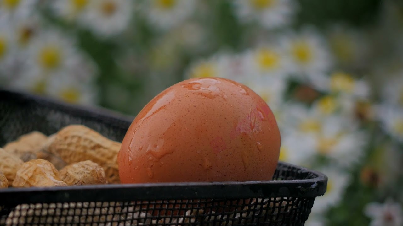 Celtic Influence on English