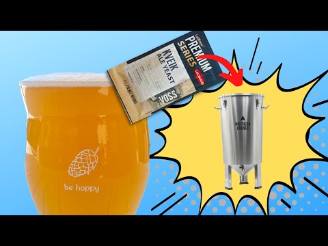 Kveik Pale Ale - Reactor Stainless Steel Fermenter from Northern Brewer