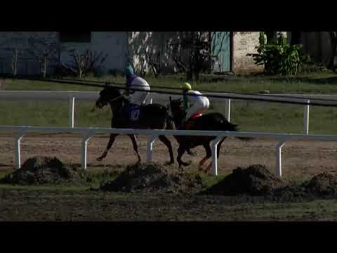 201203_c07 1° IMPERIOSO FULL - SINT PAYSANDU