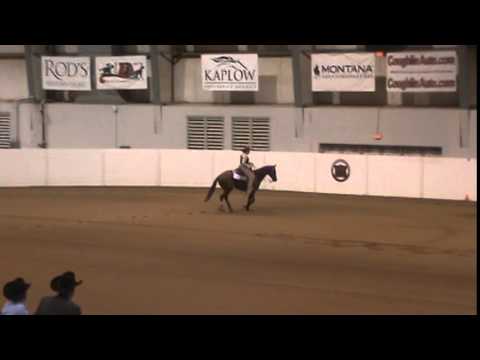 RJ Congress 2014 Nov Am