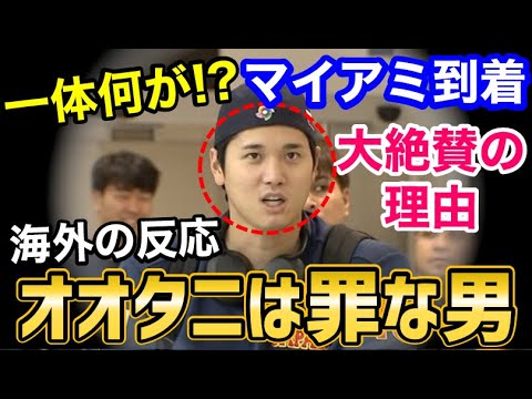 「ドイツの声」:トーレ・シェーラーマンが準決勝から欠場