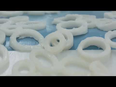 Squid fishing process_giant squid process in factory