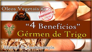 Óleo de GÉRMEN DE TRIGO Benefícios e como usar [Rosto- Corpo- Mãos- Unhas- Cabelos]