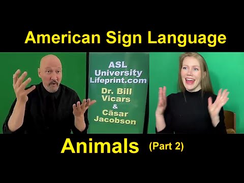 Lesson 12 Story B Cäsar Jacobson Dr Bill ASLU Lifeprint com American Sign Language ASL