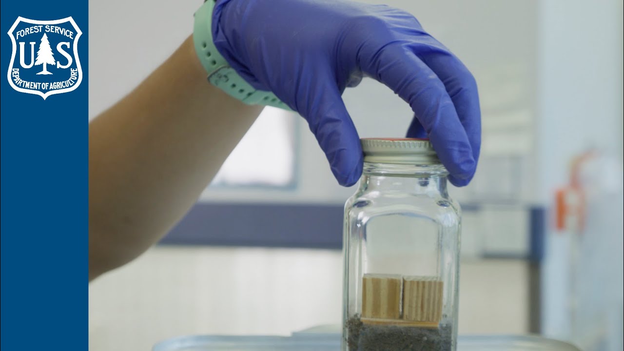 Forest Products Lab: Wood Preservation