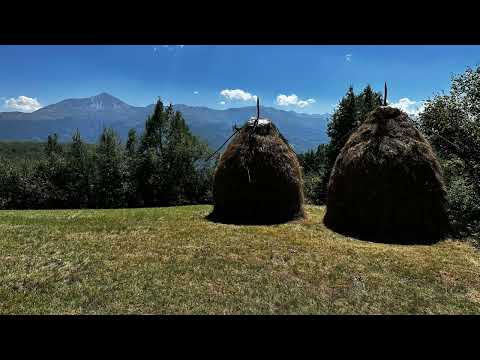 Ferizi dhe Ali Krasniqi - Dem Salihi inqizim nga Dem Kashtanjeva