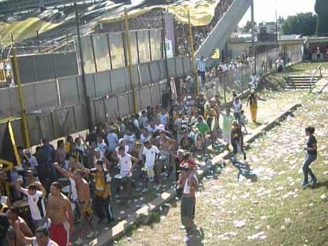 "ALMIRANTE BROWN LA BANDA !!!" Barra: La Banda Monstruo • Club: Almirante Brown • País: Argentina