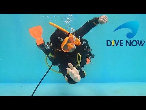 Regulator recovery.  What To Do When You Lose Your Regulator - Essential Scuba Skills