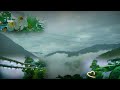 Nature Whatsapp Status Barish 4k Video Song 2021