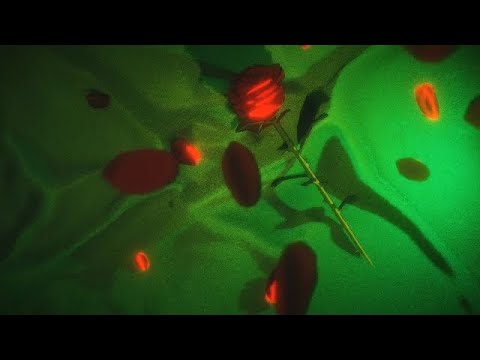 Recycled J - NO HAY MANERA (Audio Oficial)