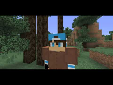 If Noobs And Pros Switched