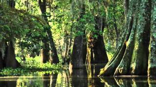 La danse de Mardi Gras