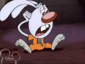 Brandy And Mr Whiskers
