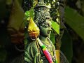 Solla Solla Inikkuthada Tamil God Muruga Temple Status