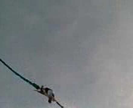 bung jump 19/08/2007
