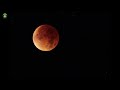 Full Moon in Virgo Lunar Eclipse Meditation