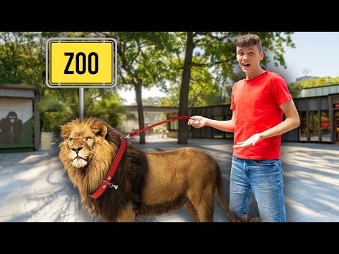 EIGENES TIER in ZOO geschmuggelt!