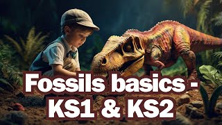 The basics of fossils for KS1 & KS2