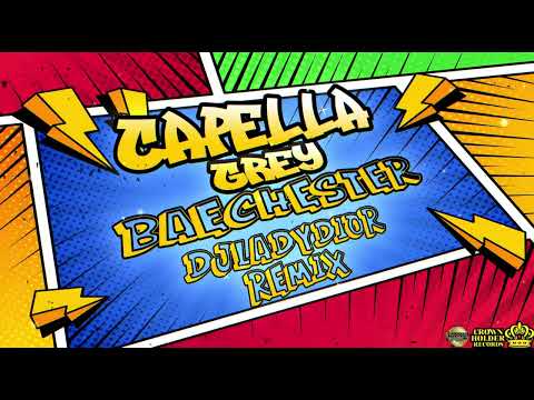 Capella Grey - Baechester (DJ LADY DIOR REMIX) [Audio]