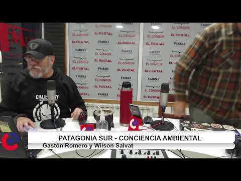 Patagonia Sur - Conciencia Ambiental. Adriana Galvez-Wilson Salvat- Gastón Romero Programa 6-2026