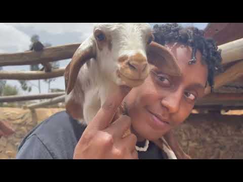 Lost in Eritrea - Visited Eritrea after 20 Years!