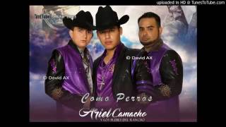 Como Perros ( 2016) - Ariel Camacho Y Los Plebes Del Rancho
