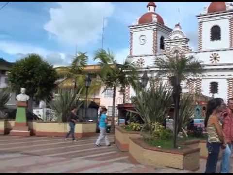 Video de Gestión GSN 2013