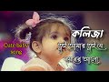 Koliza Tui Amr || কলিজা তুই আমার তুই যে নয়নের আলো || Bangla Lyrics 